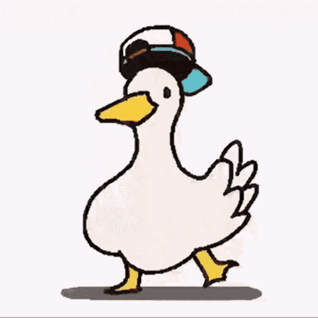 duck